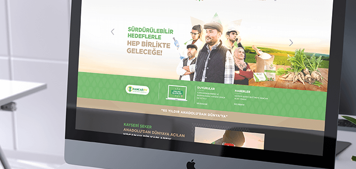profesyonel web tasarim nasil olmalidir